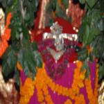 Vraj-Yatra-2014- (2398)